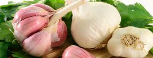 سیر قرمز