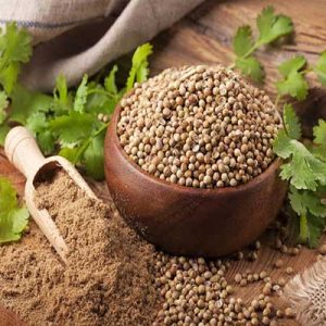 تخم گشنیز