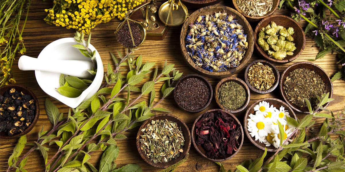 صادرات گیاهان دارویی